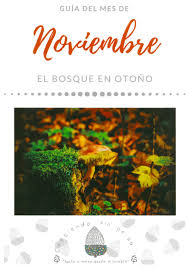 Portada de NOVIEMBRE. Un hogar conectado. Vivir con el ritmo estacional.