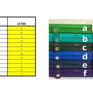 Carta de colores de mochilas de cuero